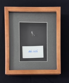 Mike Valla Framed Fly