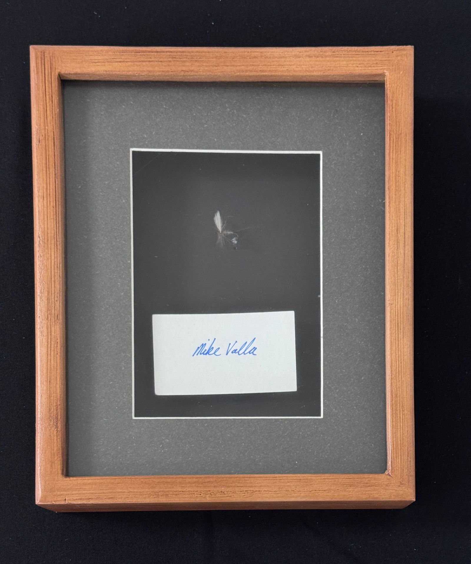 Mike Valla Framed Fly (1 of 2)