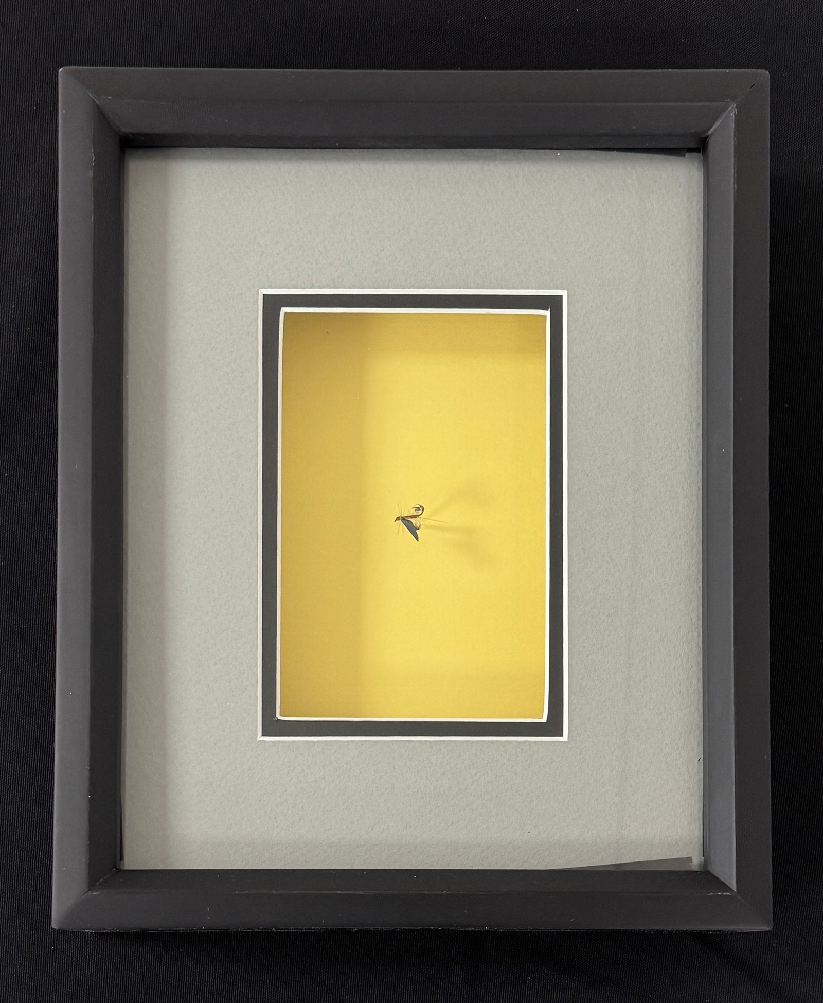 Vintage Chauncy Lively Framed Fly (1 of 2)