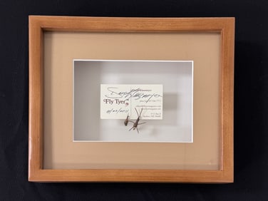 David Klausmeyer Framed Flies