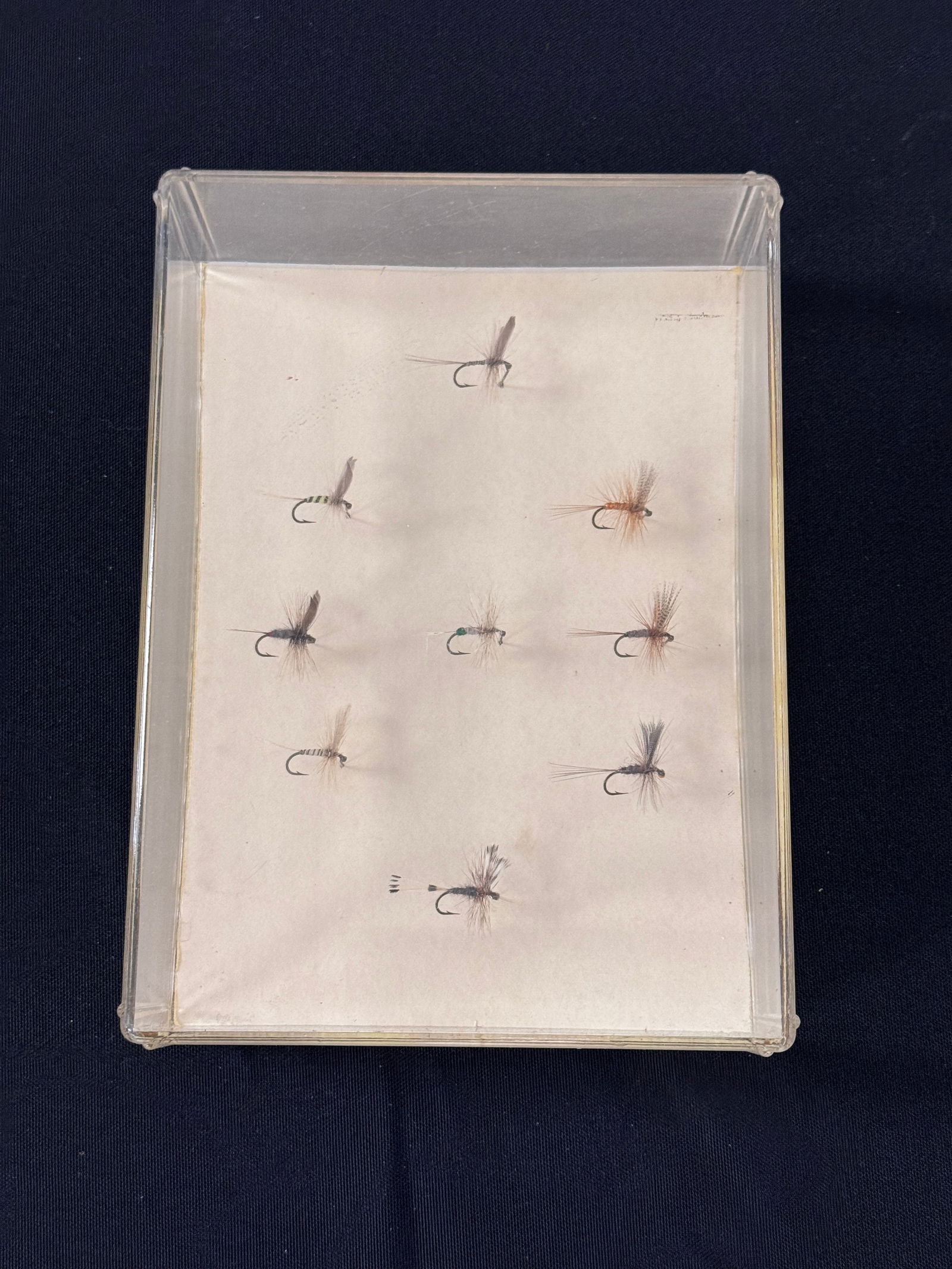 Elsie Darbee Flies (1 of 2)