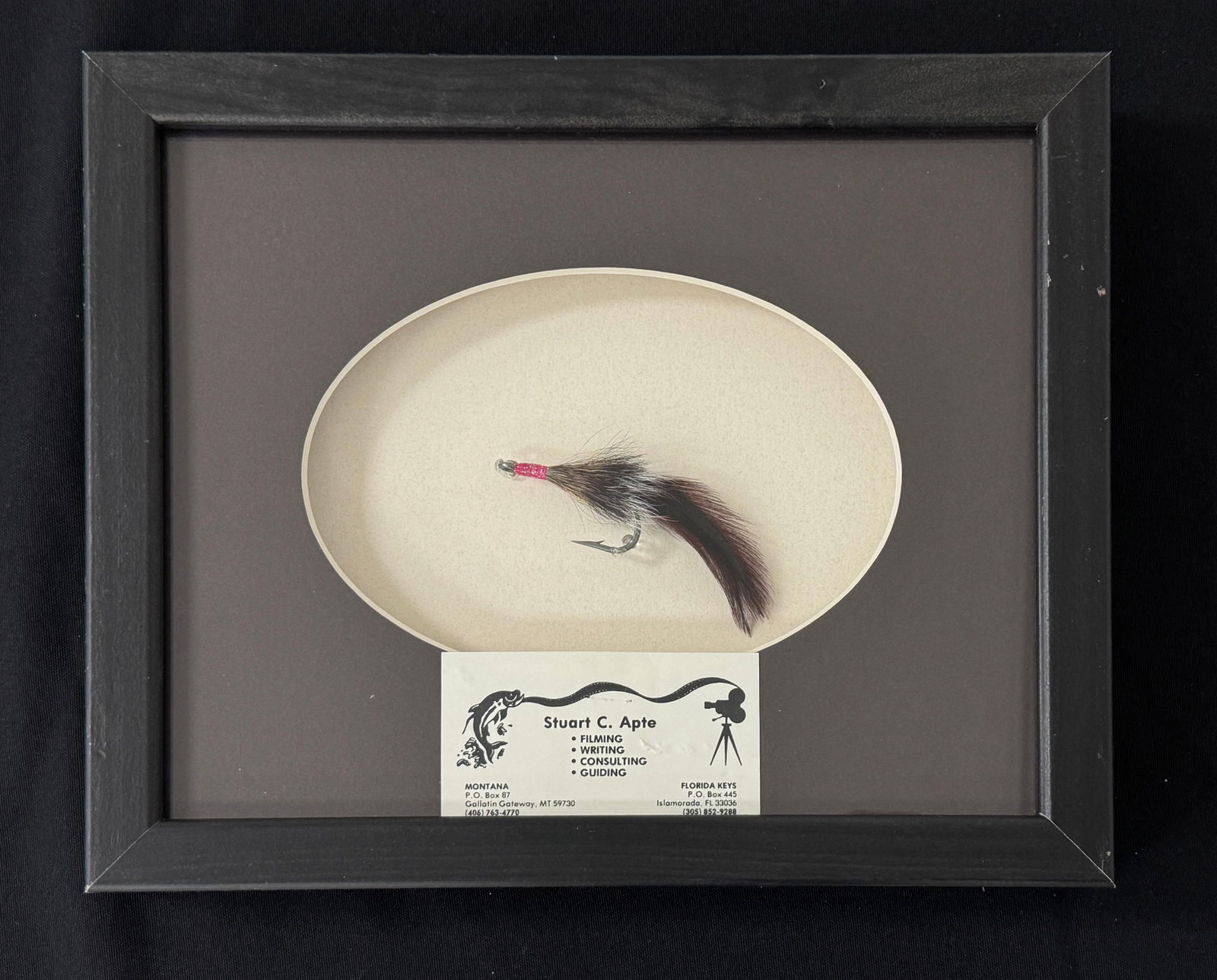 Apte Tarpon Fly (1 of 2)