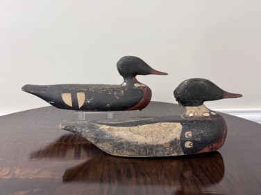 Pair of Hooded Merganser Duck Decoys