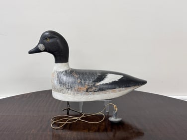Frank Coombs Drake Whistler Duck Decoy