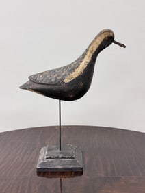 Chris Andrews Black Bellied Plover