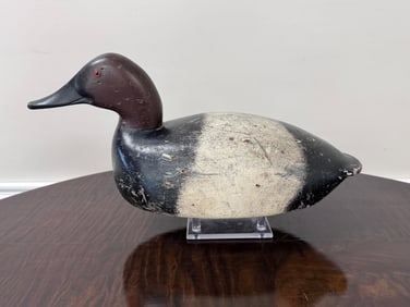 Drake Canvasback Duck Decoy