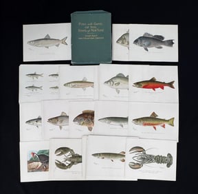 Forest, Fish & Game Commission NYS Portfolio