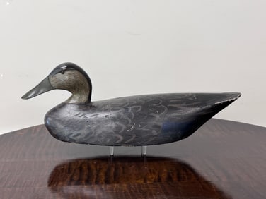 Sam Denny Black Duck Decoy