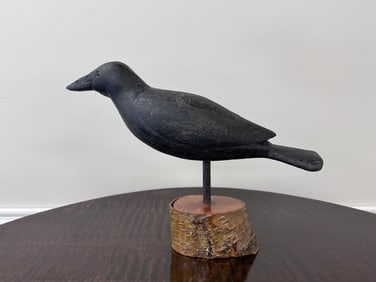 Boat-Tailed Crow Decoy