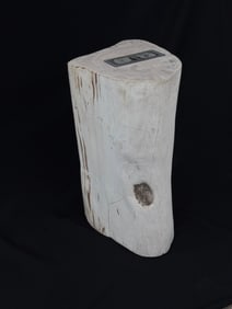 Petrified Wood Stool / End Table