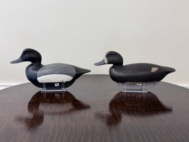 Maynard Caine Bluebill Duck Decoys