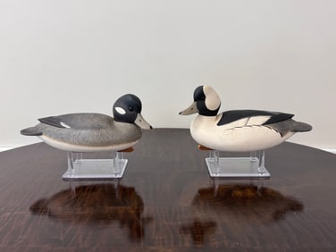 Hen and Drake Bufflehead Duck Decoys