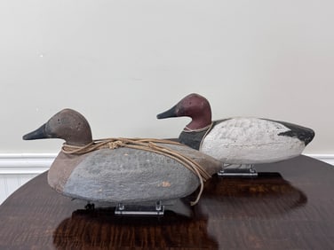 Hen & Drake Canvasback Duck Decoys