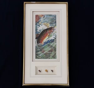 Framed Louis Rhead Flies & Trout Art