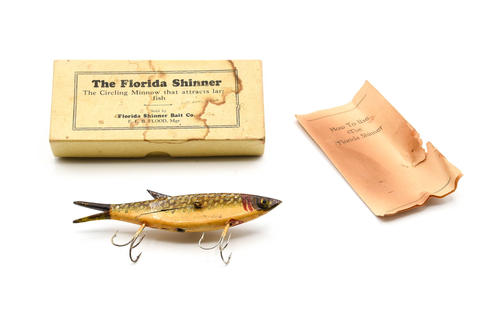 The Florida Shinner (1 of 3)