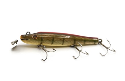 Early Creek Chub Pikie Special