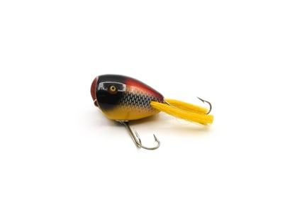 Creek Chub Surface Dingbat