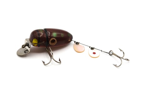 Creek Chub Beetle Prototype