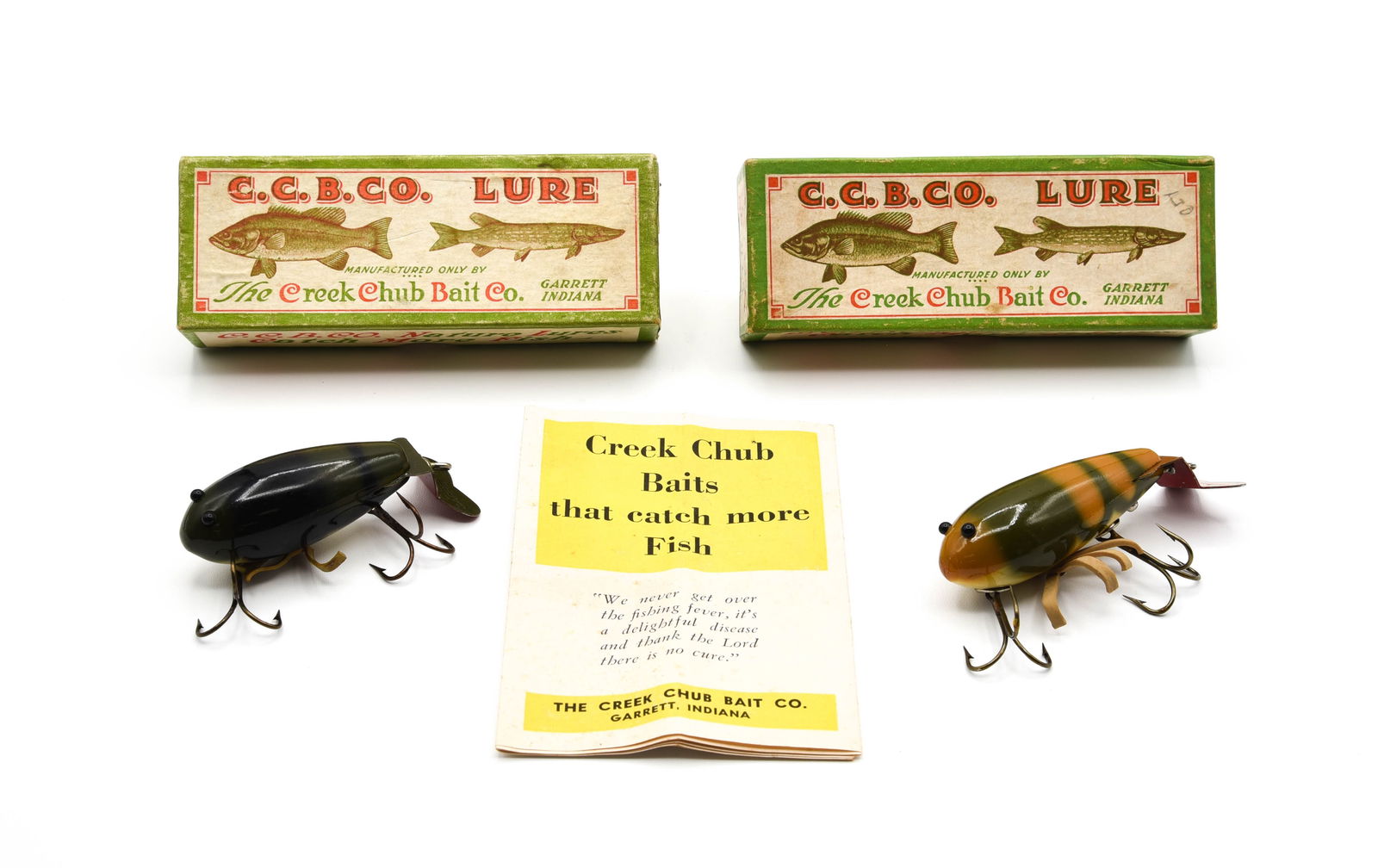 2 Creek Chub Crawdads (1 of 4)