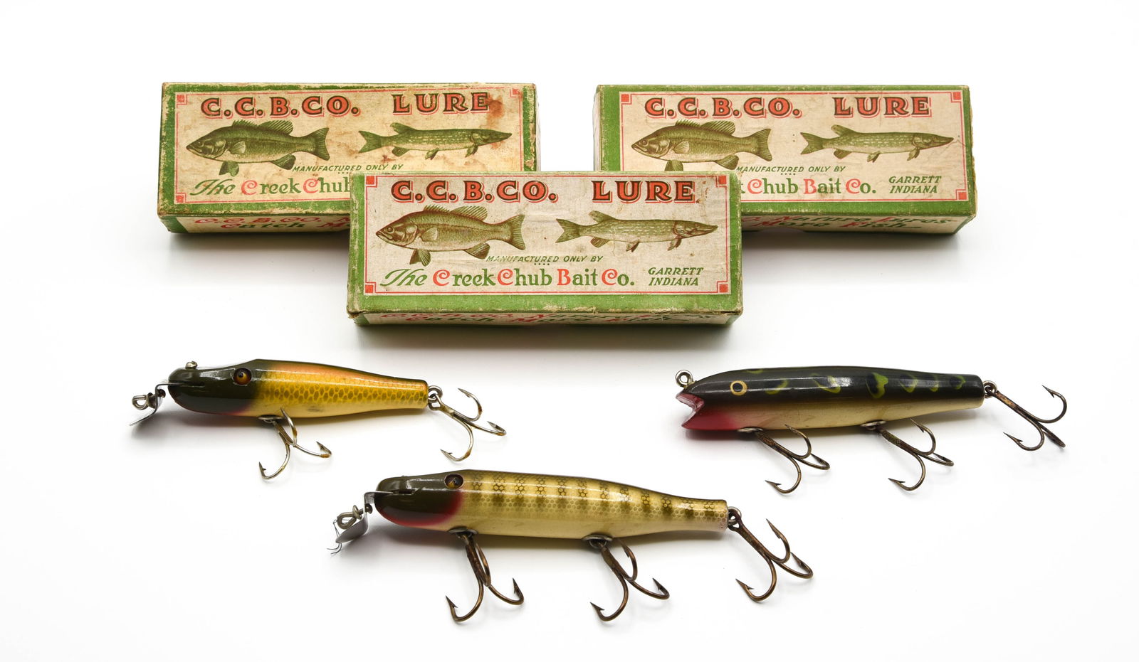 Fintail Shiner CREEKCHUB 1920年代 Creek Chub Fintail Shiner, Garrett, In.