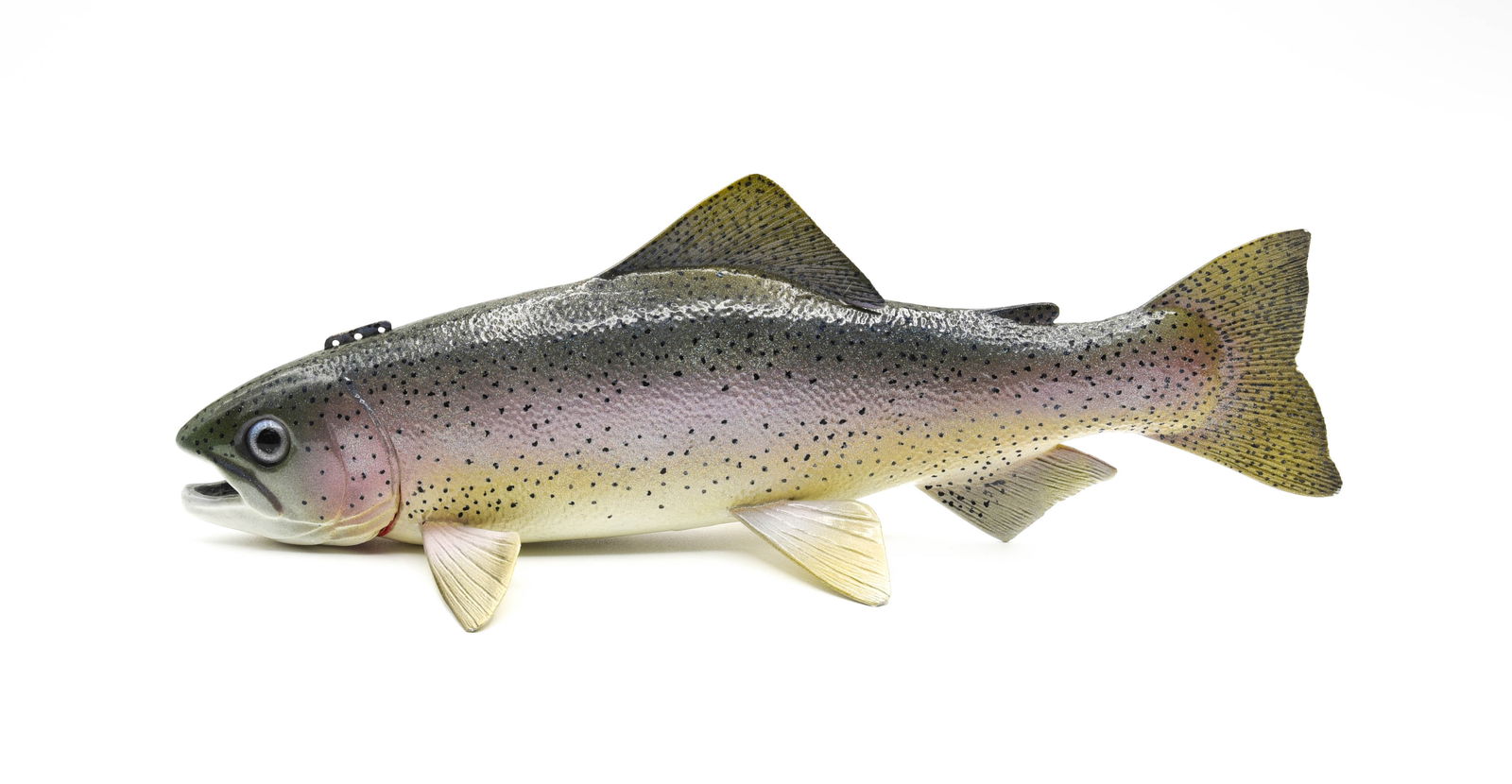 Tom Christenson Fish Decoy (1 of 3)