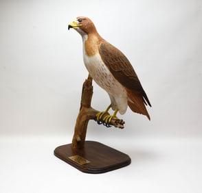 Vintage Bourne Hawk Carving