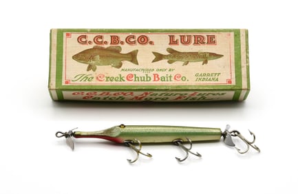Creek Chub Gar Minnow