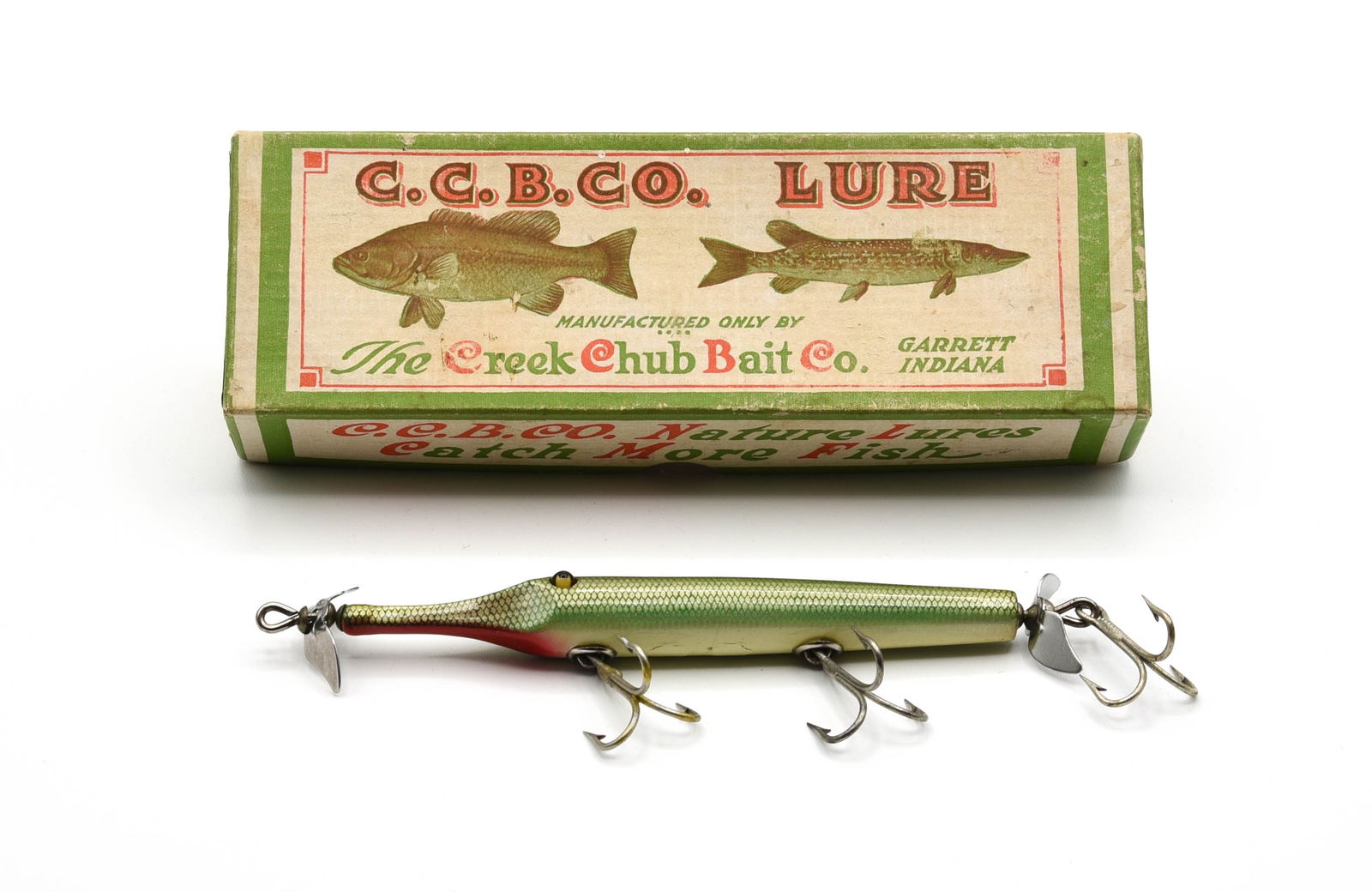 Creek Chub Fintail Shiner, Garrett, In.