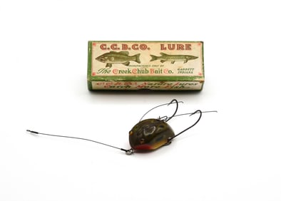 Creek Chub Weed Bug