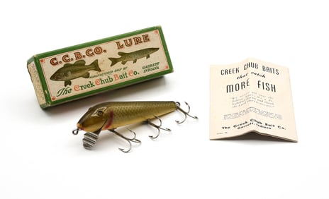 Creek Chub Sucker