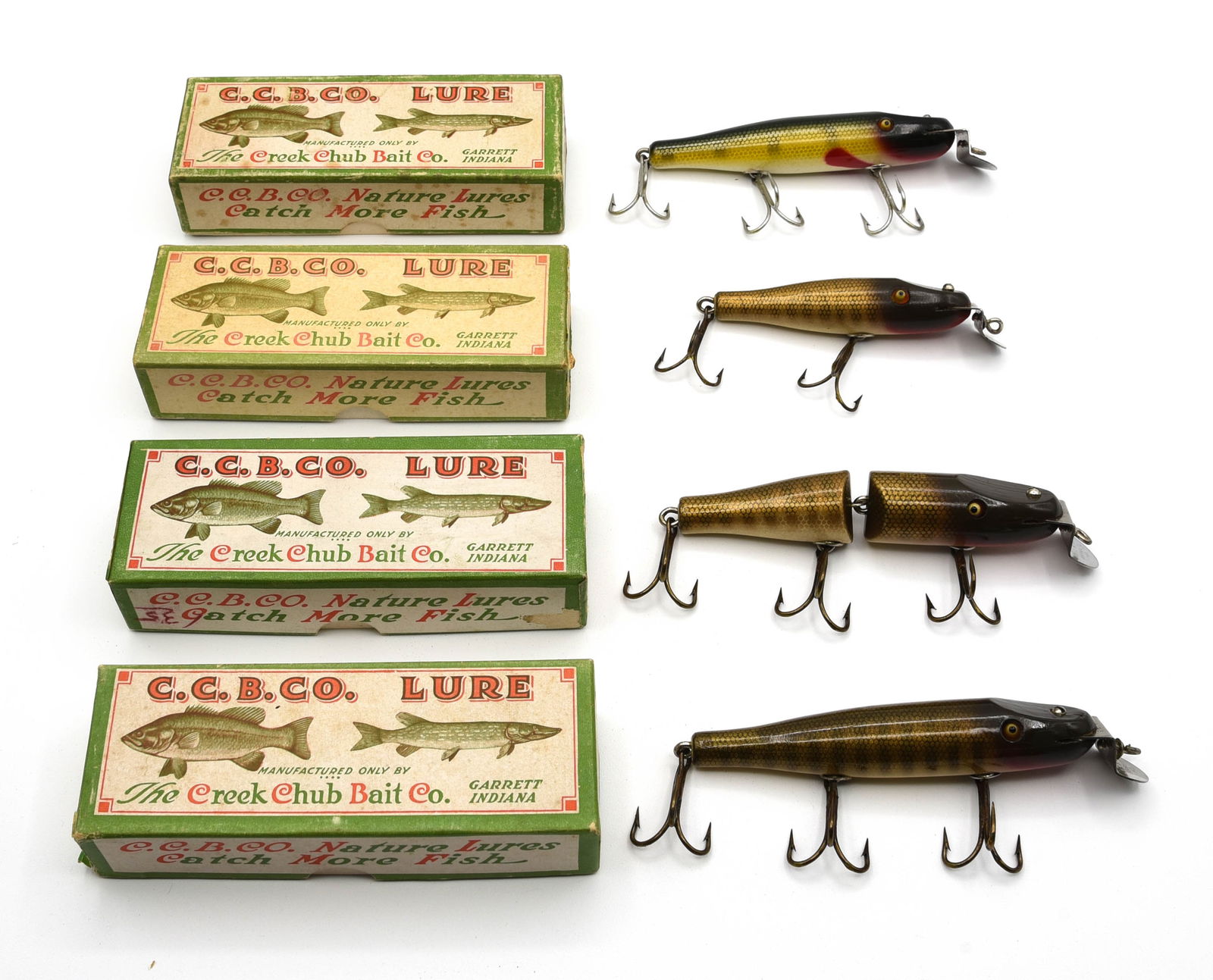 4 Boxed Creek Chub Pikies (1 of 2)