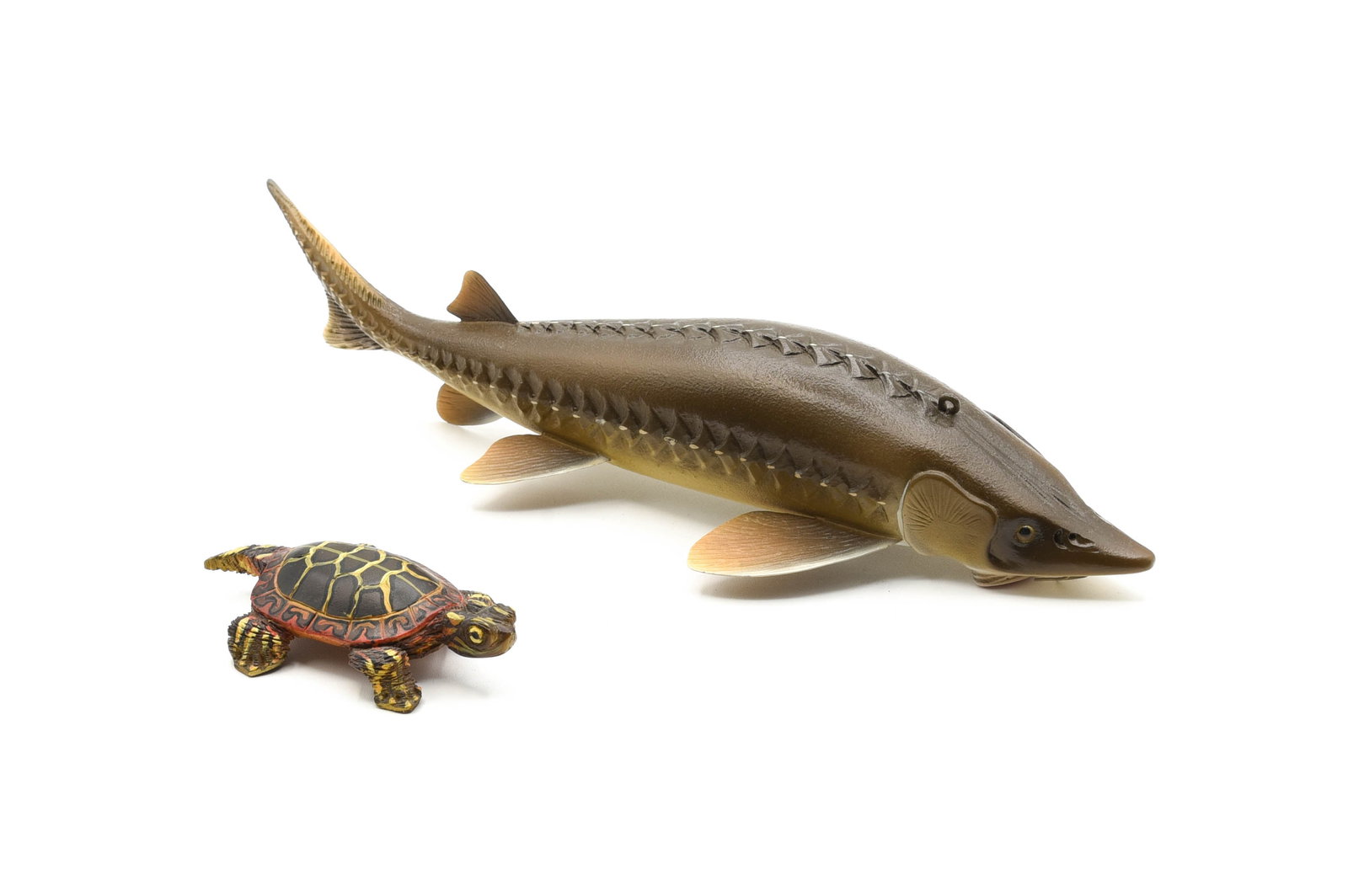 Harley Ragan Fish Decoys: Sturgeon decoy measuring over 12" in length with glass eyes and hand signed "Harley Ragan 2006" on the belly, and a highly detailed turtle, 4" overall, hand painted with H. Ragan 97 carved on the bell