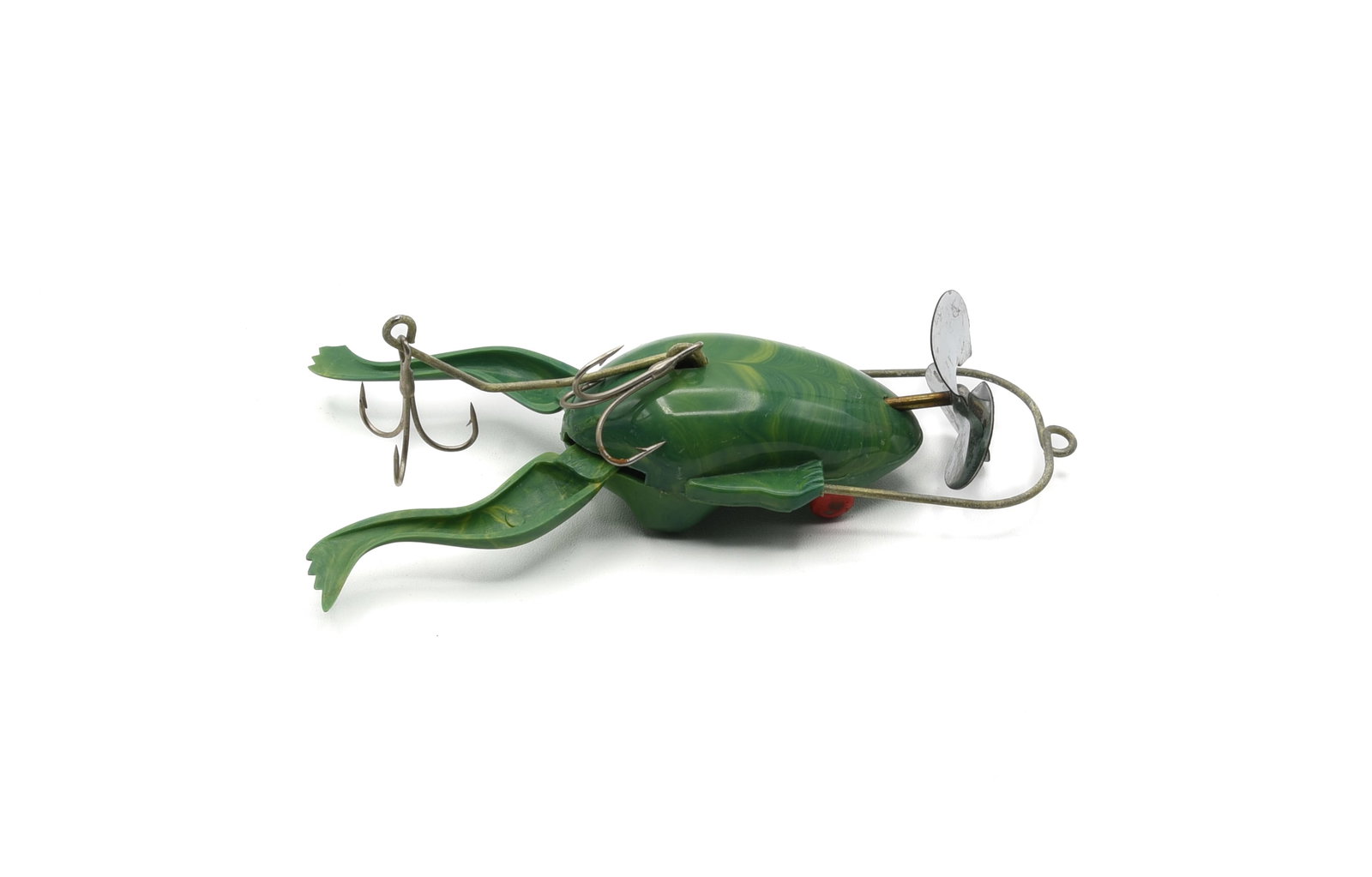 Live Action Frog - 2