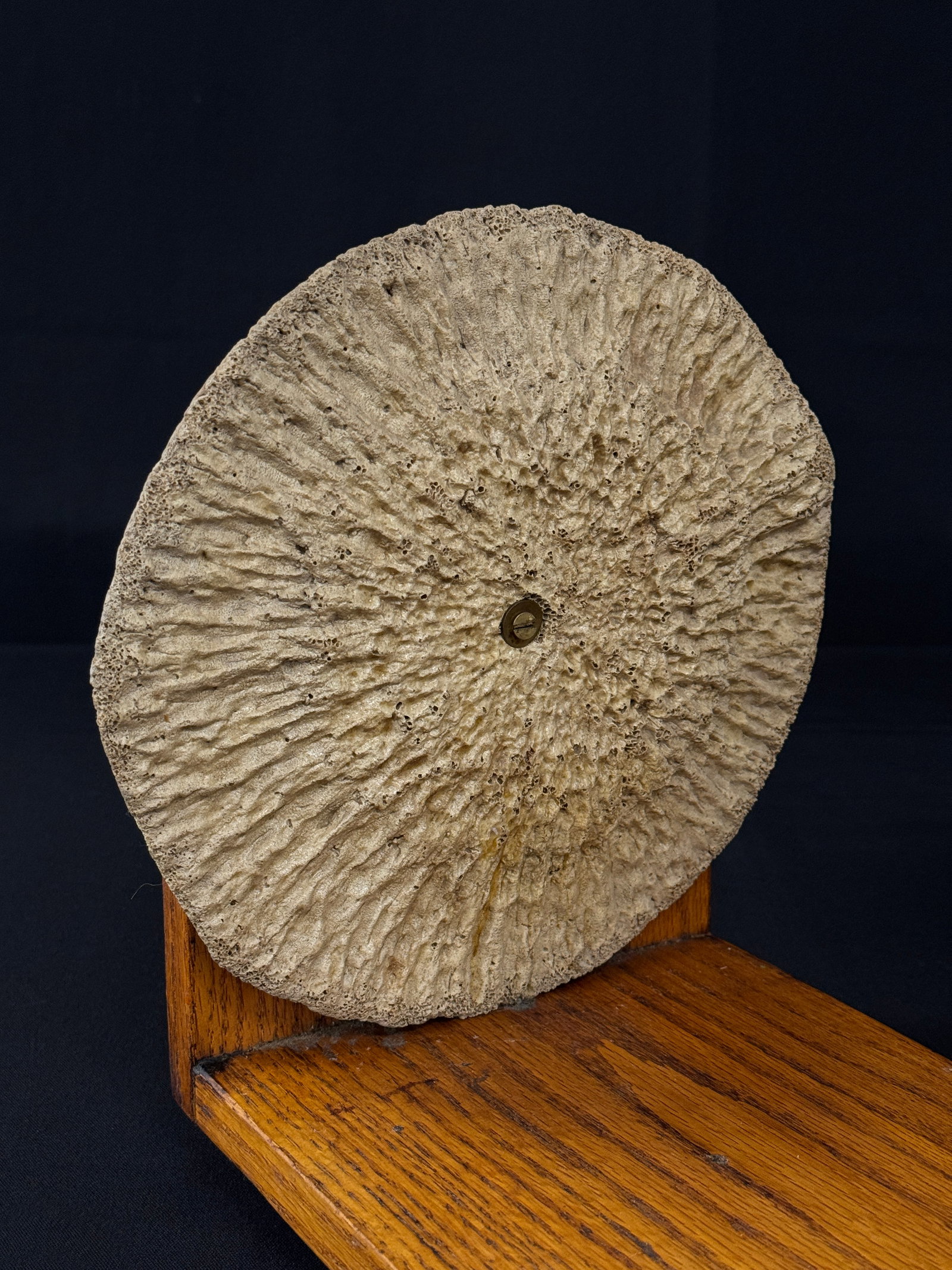 Gardner Marsh Whale-Bone Bookends - 2