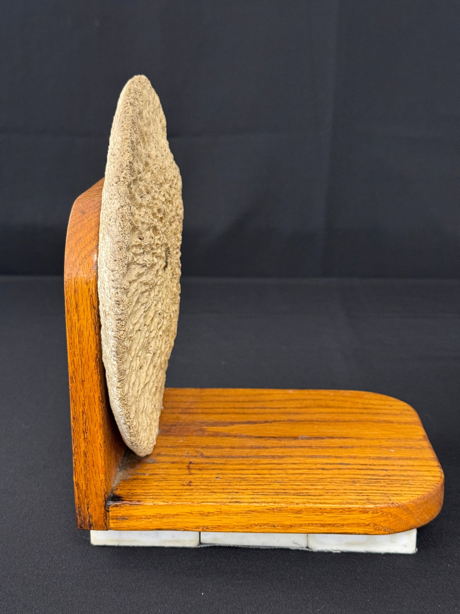 Gardner Marsh Whale-Bone Bookends - 3