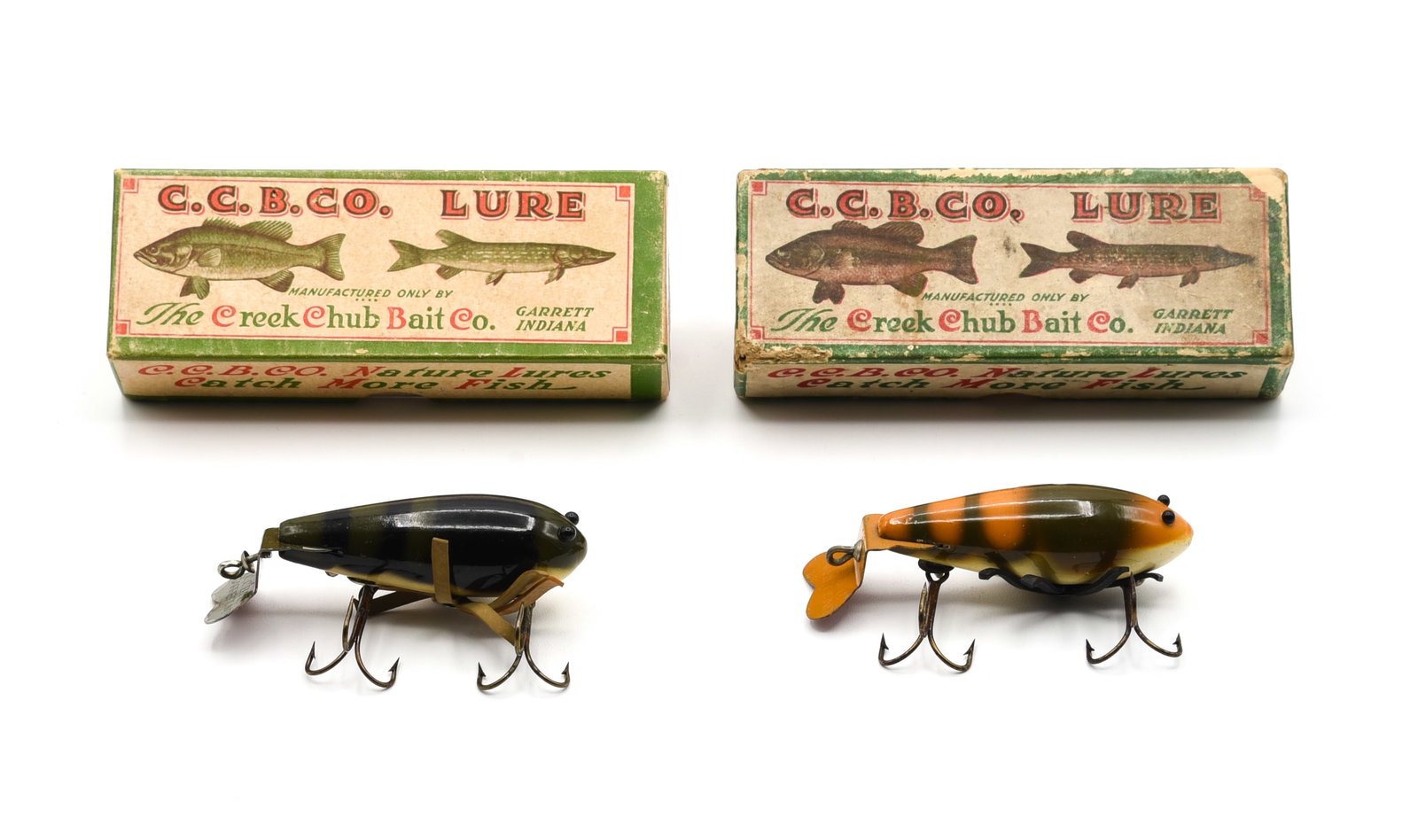 Creek Chub Crawdads (1 of 4)