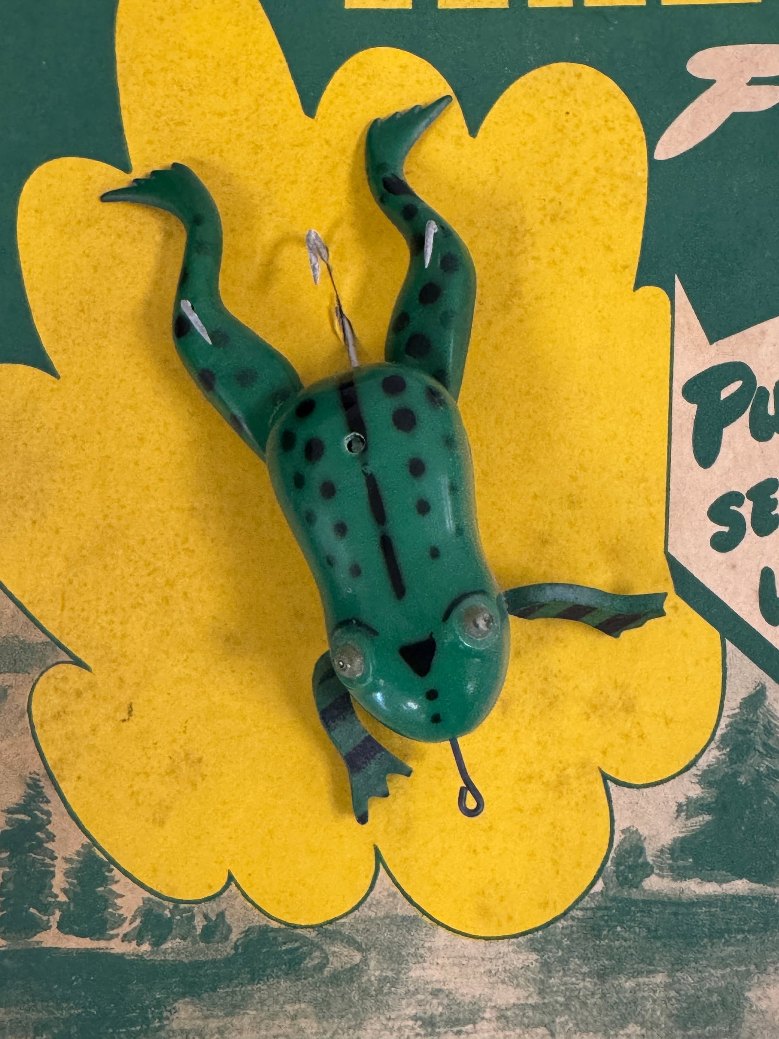 Halik Frog Store Display - 2