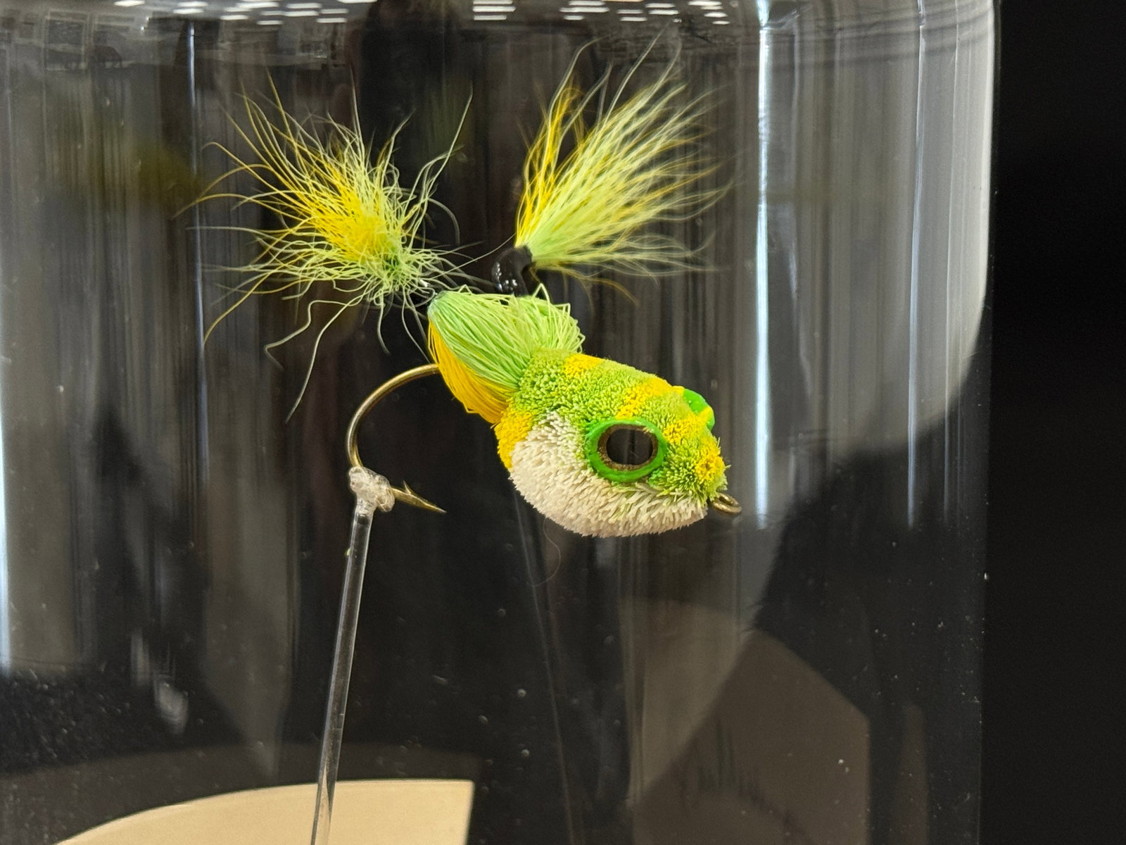 Domed Messinger Frog - 2