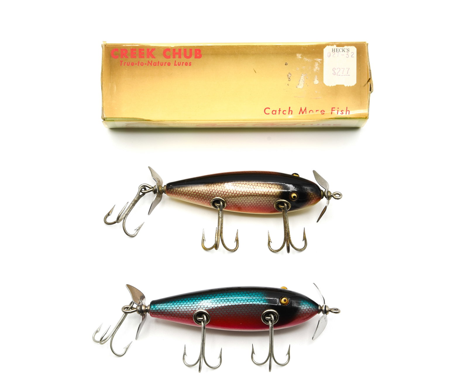 2 Creek Chub Injured Minnows (1 of 3)