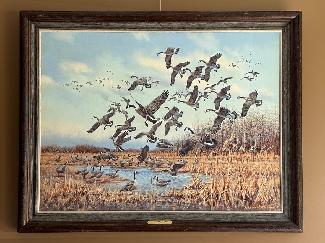 Owen J. Gromme Horicon Marsh - Canada Goose: Owen J. Gromme (1896-1991) Oil on Canvas Painting. 1949. From the Estate of Dr. Dean Hyde, Clayton, NY. Purchased in 2023 for $12,000 from Copley Fine Arts Auction. Description from Copleys: