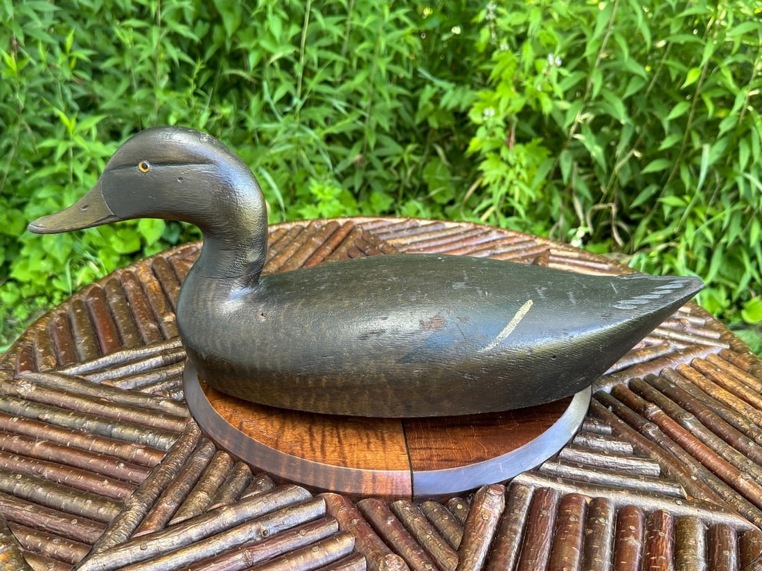 Chauncey Wheeler Black Duck Decoy: Alex Bay, NY. Circa 1930. Initials TD carved in bottom.