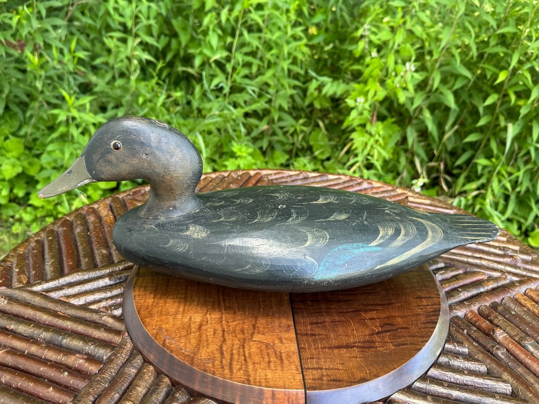 Stevens Black Duck Decoy (1 of 4)