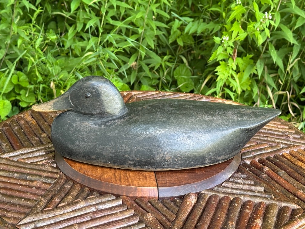 Thomas Chambers Black Duck Decoy: Hollowbody, glass eyes, low head from Toronto. G.Nillup carved in bottom. Purchased at Copley's Auction in 2012.