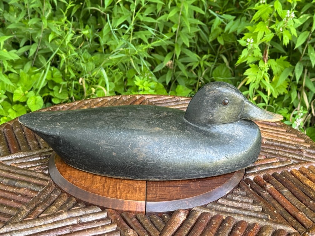 Thomas Chambers Black Duck Decoy - 2