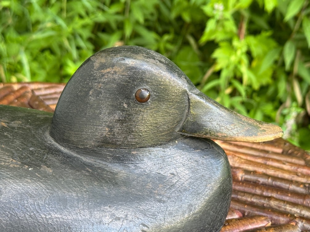 Thomas Chambers Black Duck Decoy - 3