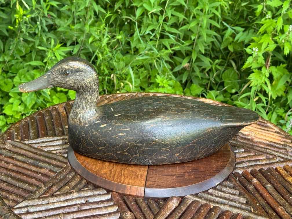 William Crysler Black Duck Decoy: Bellville, Ontario.