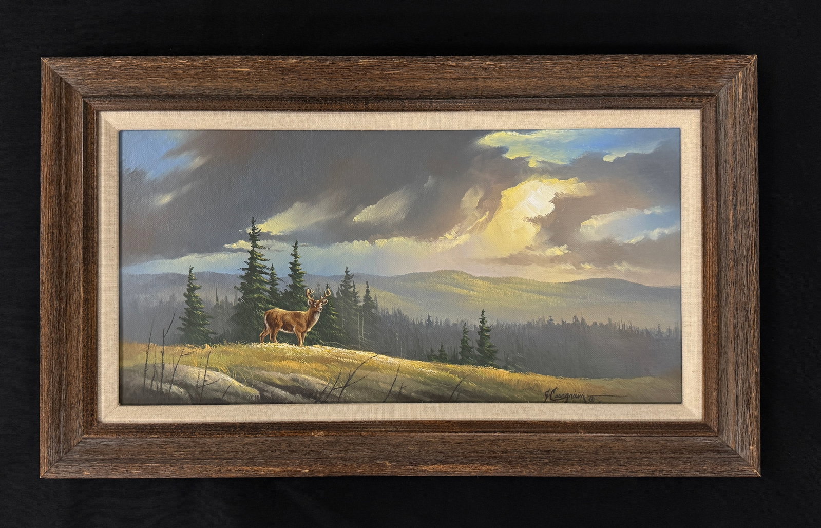 Gary Casagrain Original Oil Painting of Deer: Tupper Lake, NY. Adironack oil on board. 14.5" x 24.5"