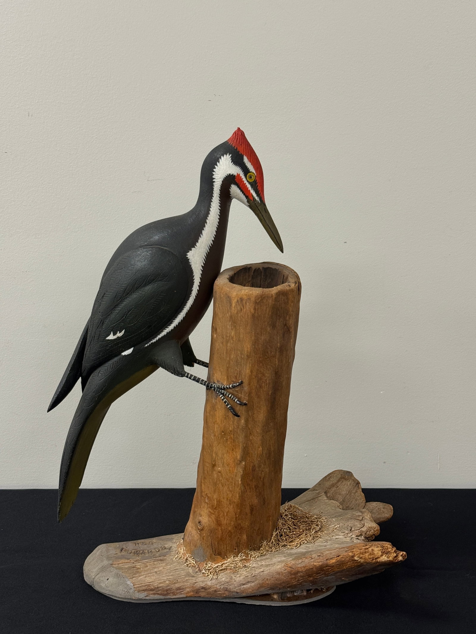 Pileated Woodpecker by Reg Edwards (1 of 4)