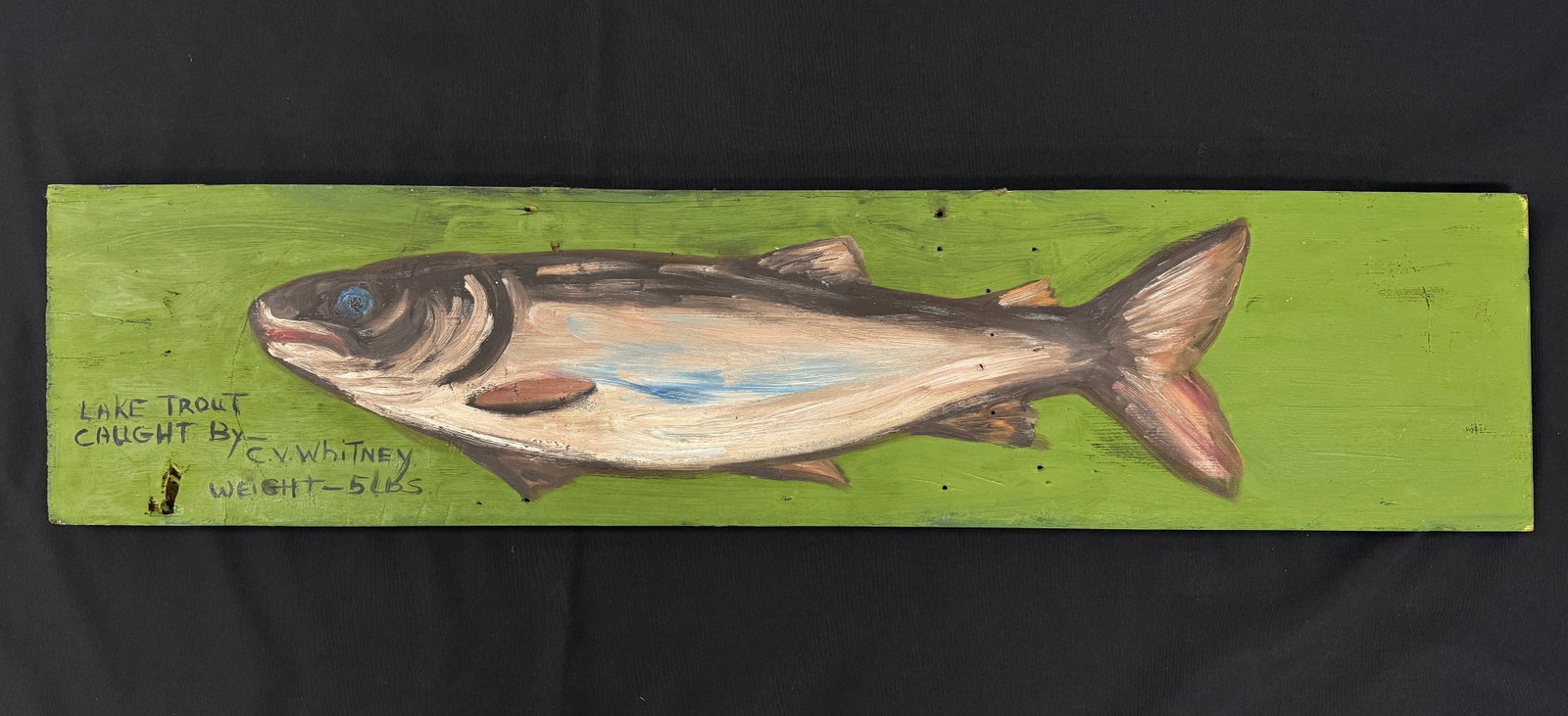 Marylou Whitney Lake Trout Painting: Caught by C.V. Whitney, weight 5 pounds. Board measures 36" x 8". Circa 1960s. Painted by Marylou Whitney. Folk art painting on wooden board from Trappers Cabin at Salmon Lake in Whitney Park.