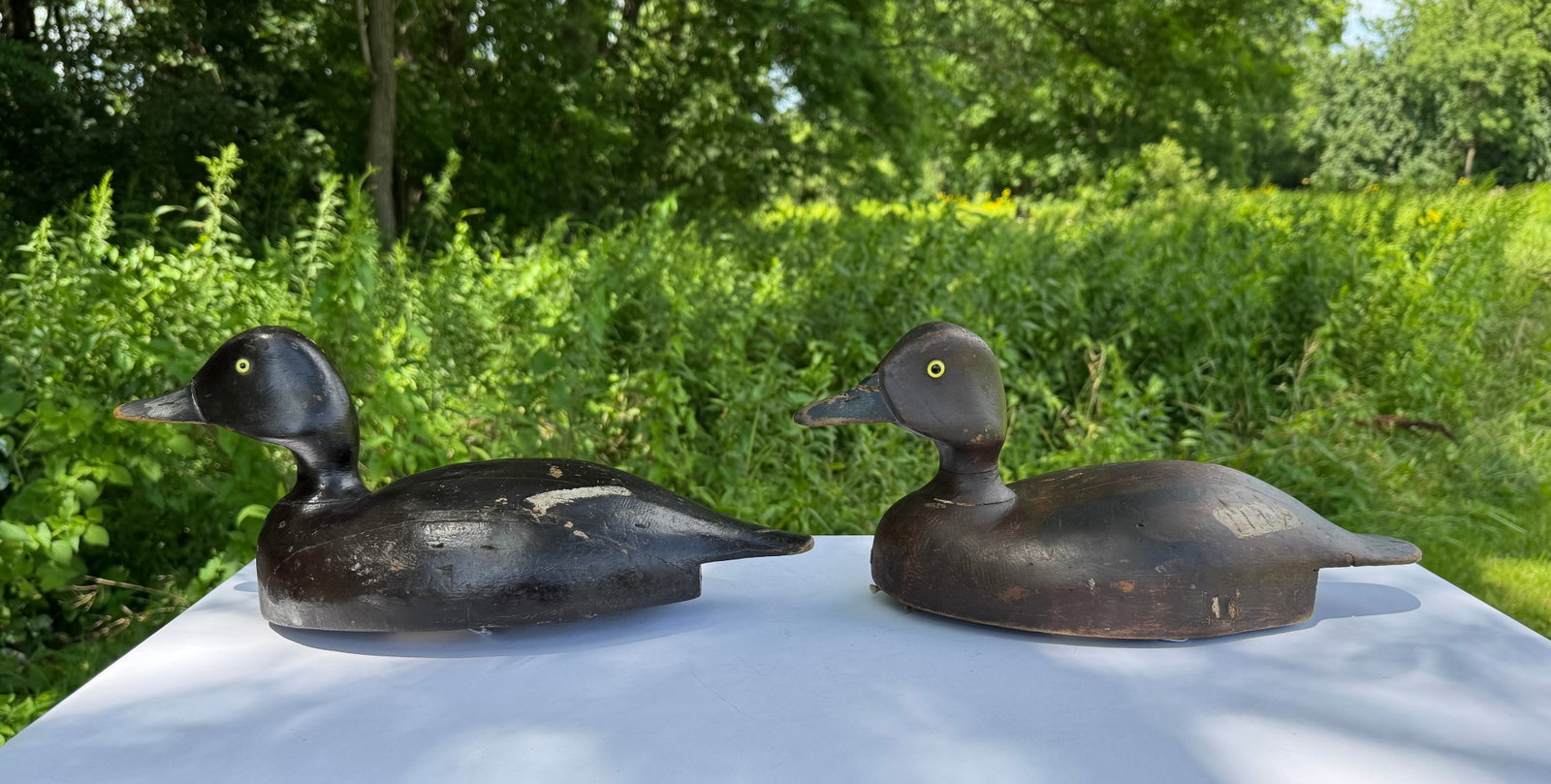 George Blevins Broadbill Duck Decoys (1 of 6)